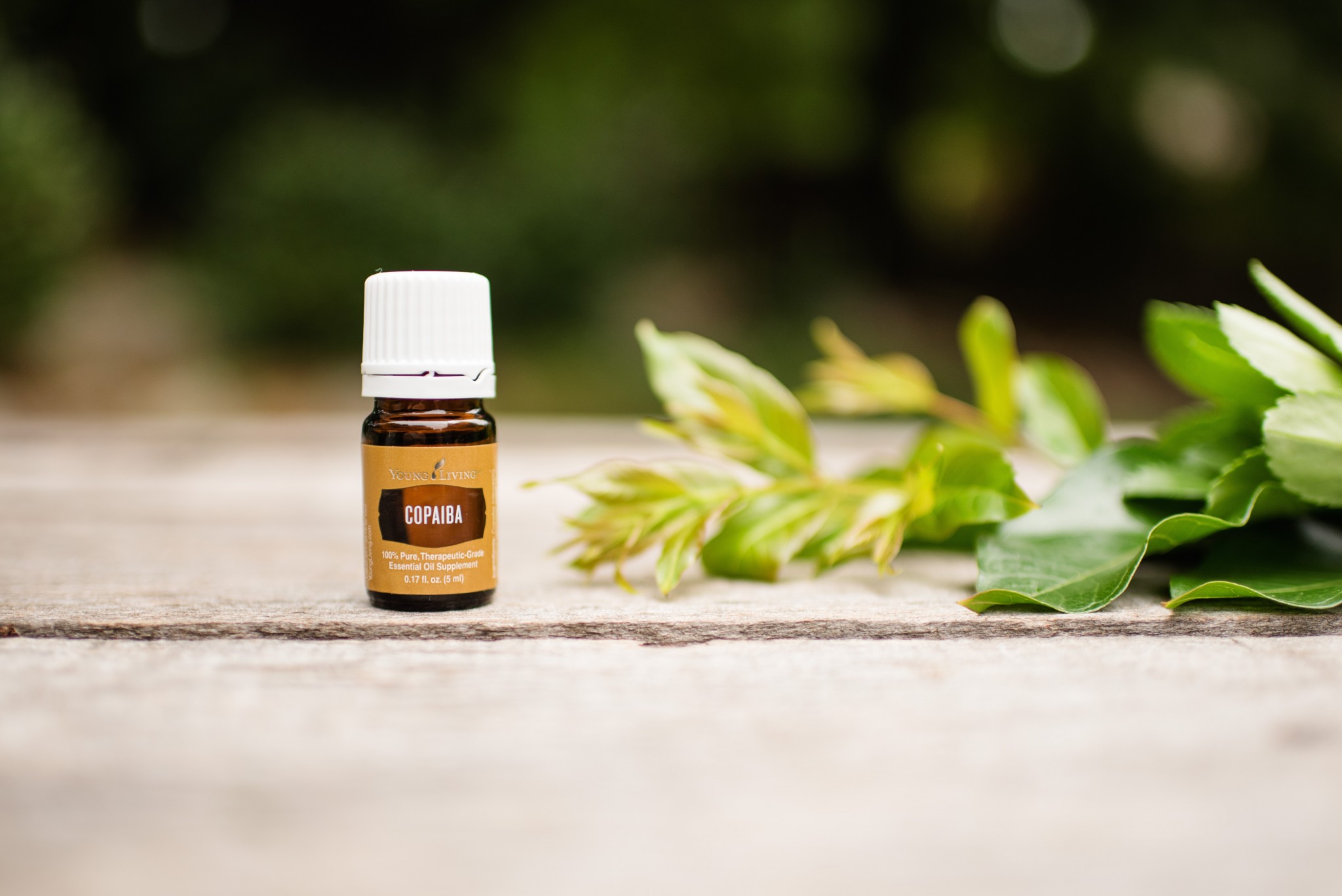 Массажное масло Pleasure Lab Hypnotic сандал, нероли и пачули, 100 мл 1025-02Lab - Pleasure Lab - Масла для массажа - Купить