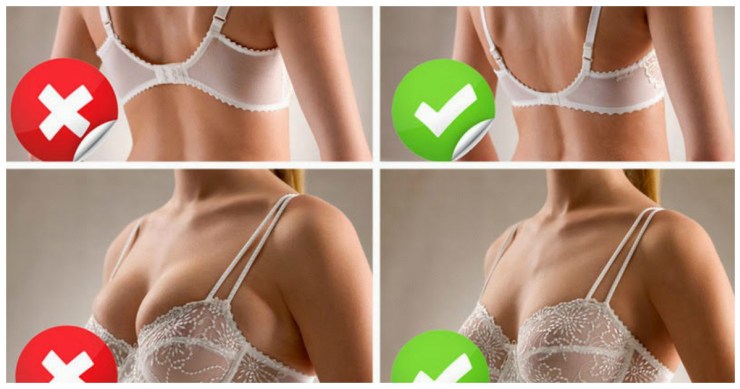 Бюстгальтер бандо 