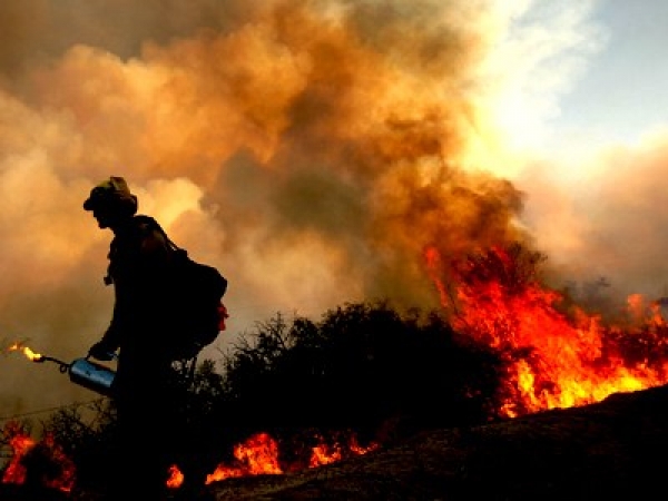Incendiile de vegetaţie au reînceput în anul 2021, în Australia