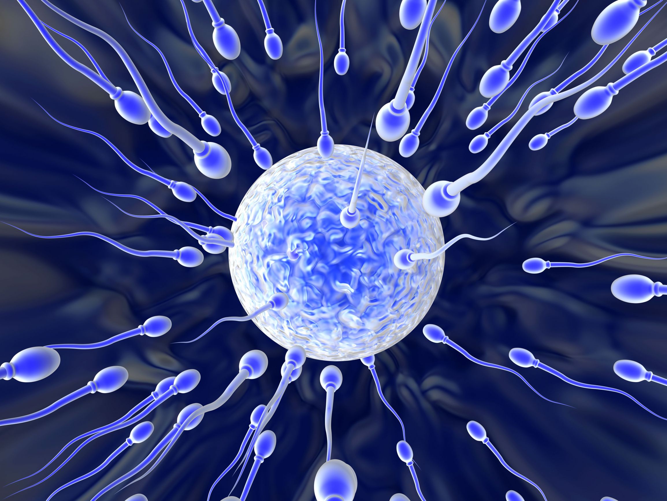 beneficii anti-imbatranire a spermei