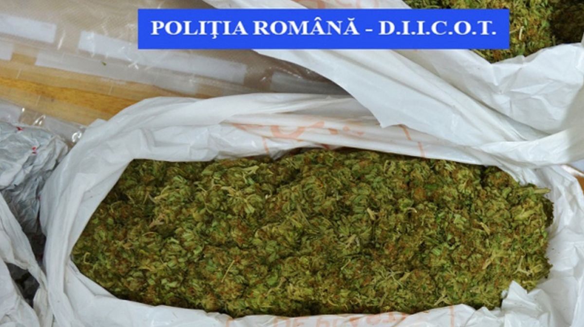 Pablo Escobar ar fi invidios pe această tânără din Iași! Culmea, traficanta de canabis a primit bani de la Ministerul Afacerilor Interne! Investigatorii sub acoperire au cumpărat droguri de la ea!