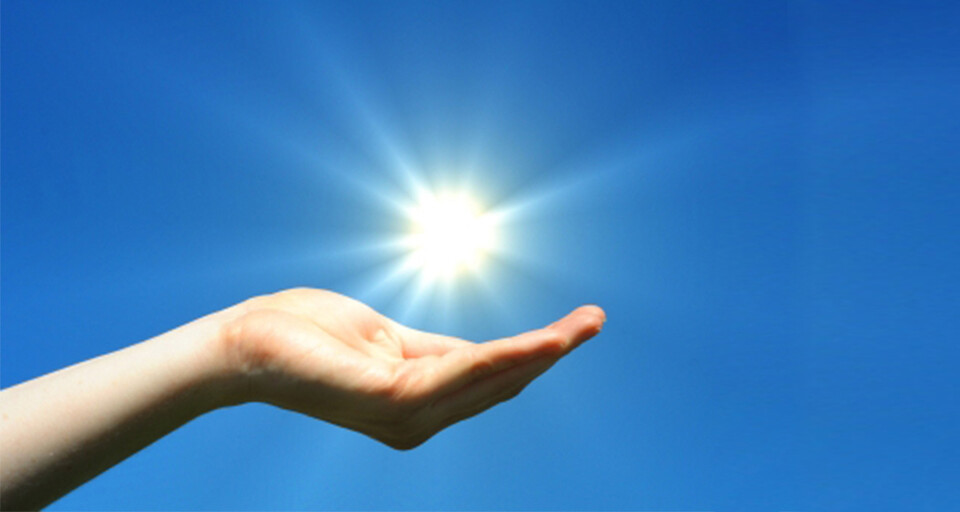 7 alimente bogate in vitamina D