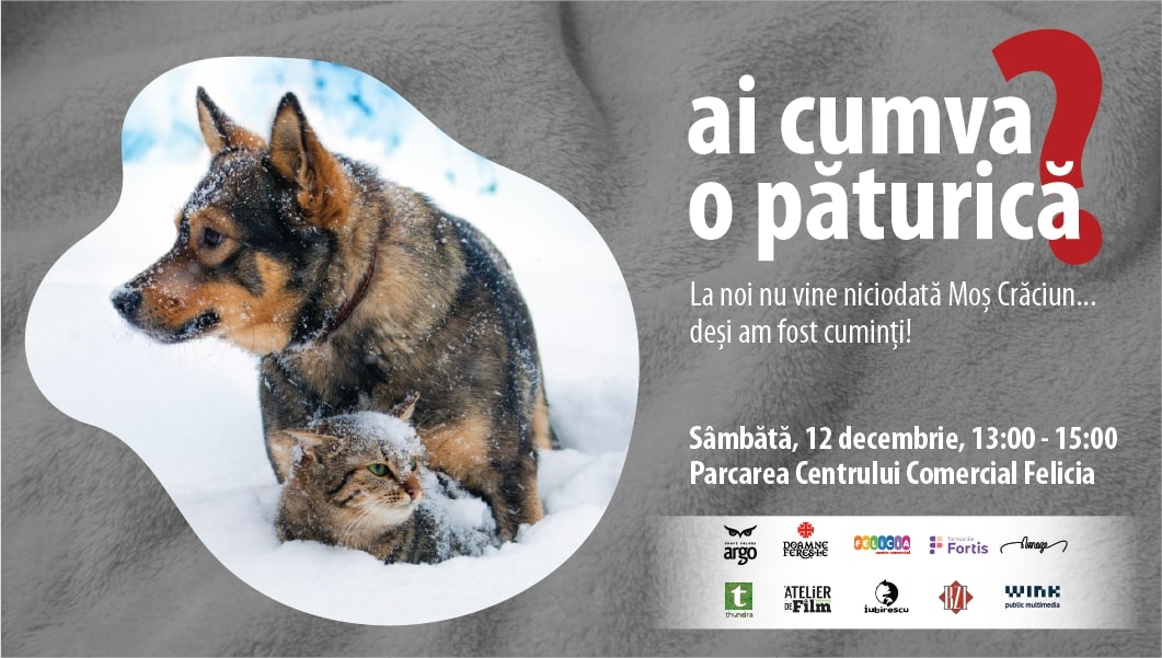 Ai cumva o păturică? 12 Decembrie 2020, Parcarea Centrului Comercial Felicia