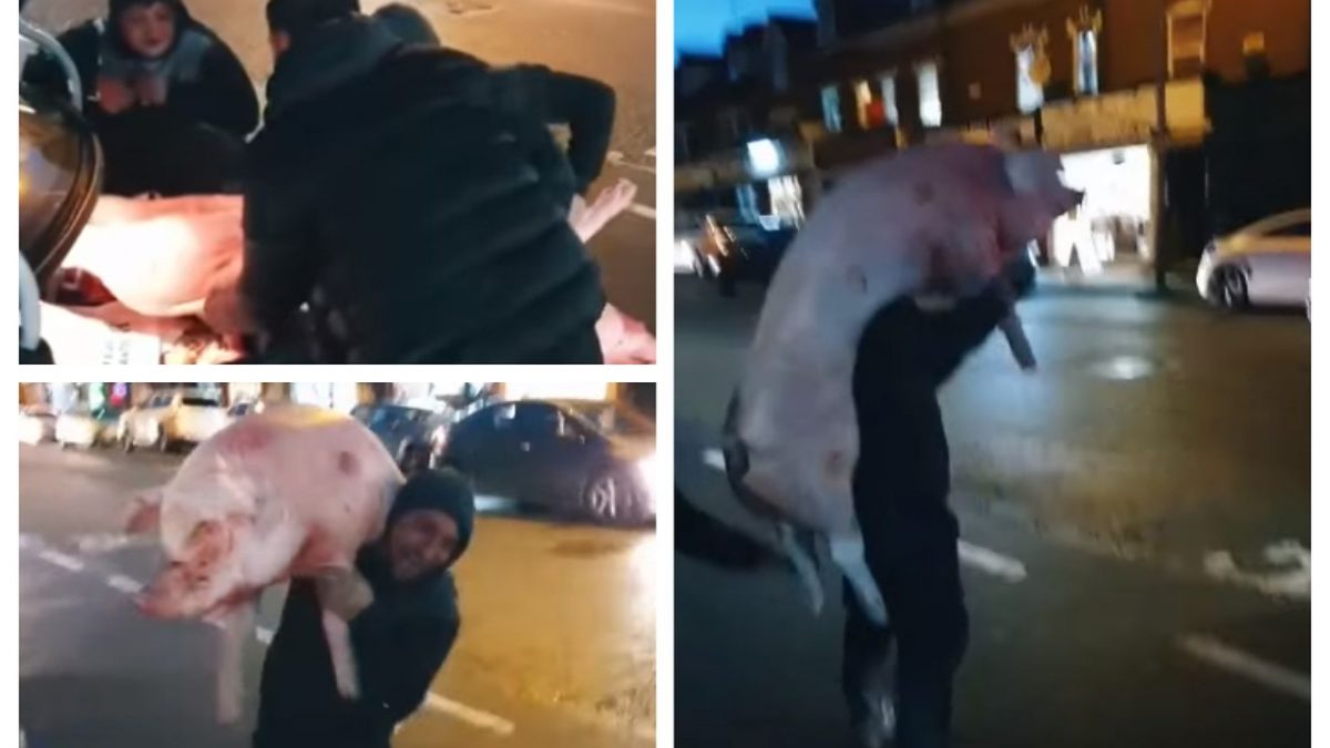 Romanii au tăiat porcul în mijlocul Londrei. Imagini senzaţionale cu porcul – VIDEO