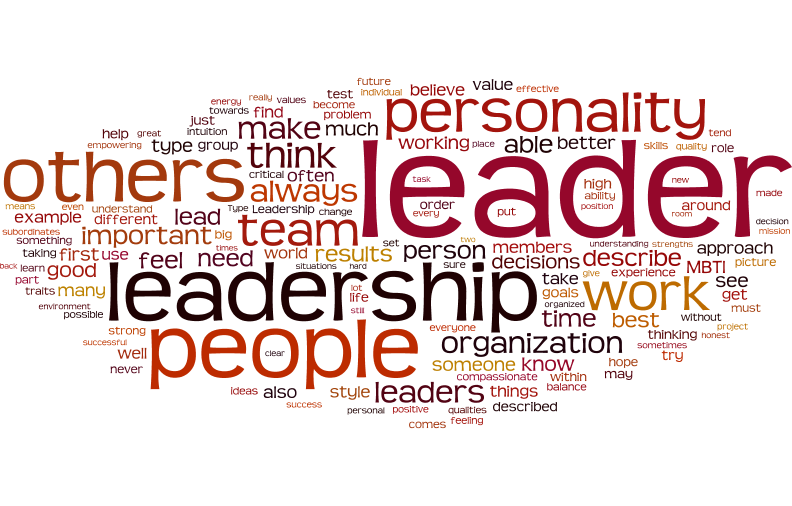 Care este strategia unui leader bun?