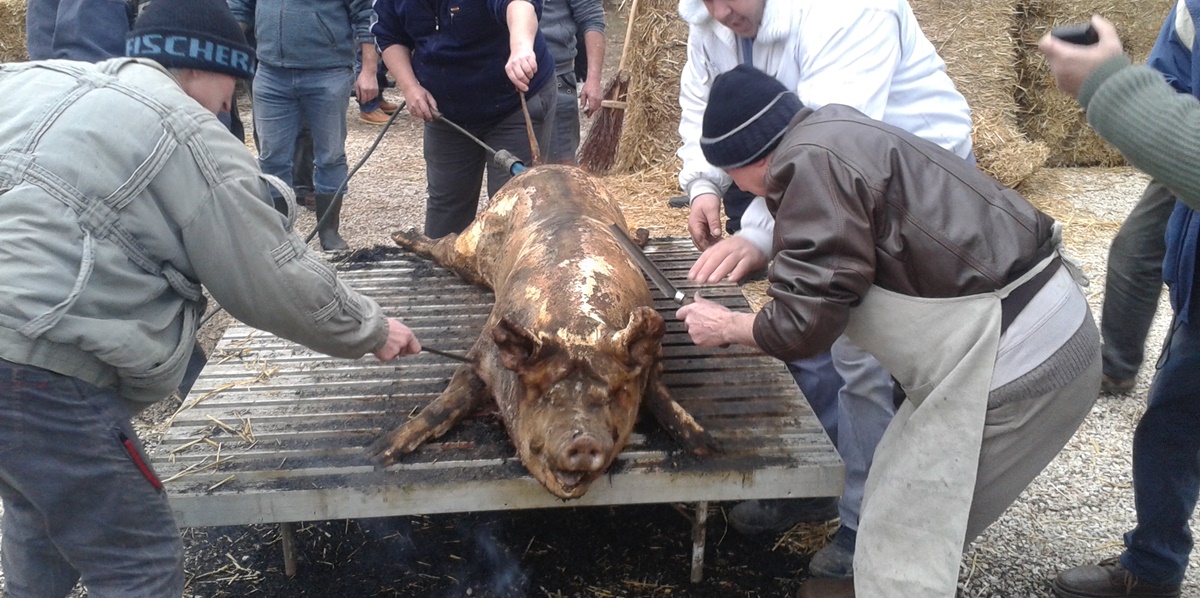 Când este bine să tai porcul? Tradiţii şi obiceiuri în Moldova