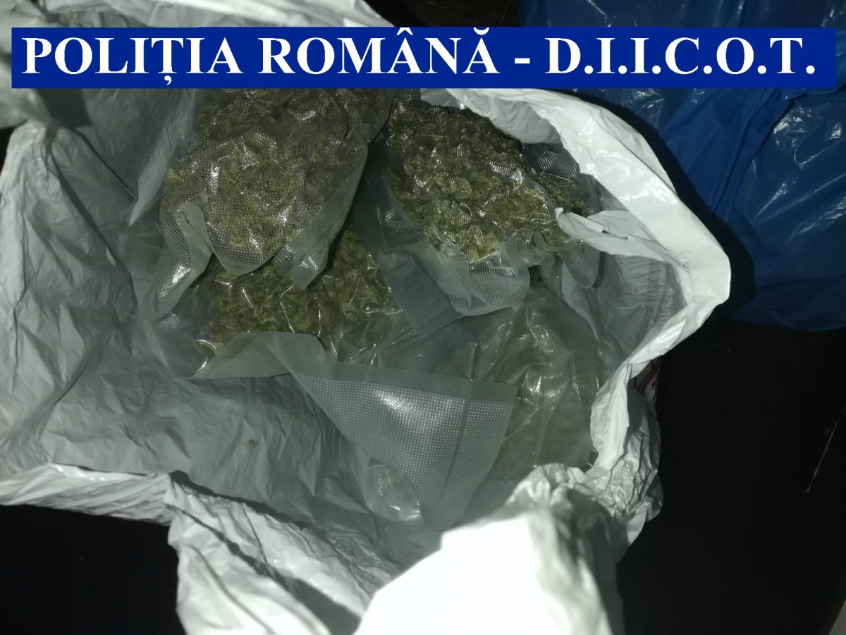 Cinci descinderi într-un dosar de trafic de droguri, la Iași. O persoană a fost condusă la audieri – FOTO
