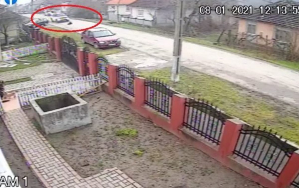 Imagini greu de privit! Un sălăjean a trecut cu mașina peste un cățel – VIDEO