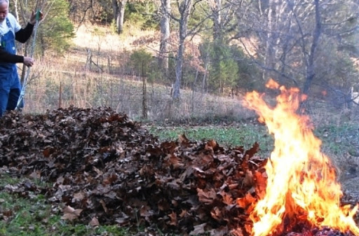 Arderea frunzelor în curte, interzisă din februarie 2021! Amenzi în Legea compostului