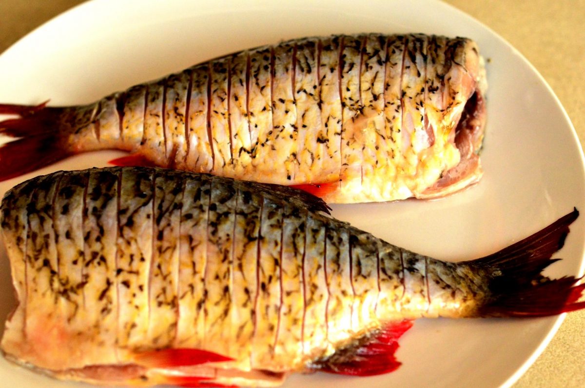 Care este diferenta dintre Omega 3 si Omega 6