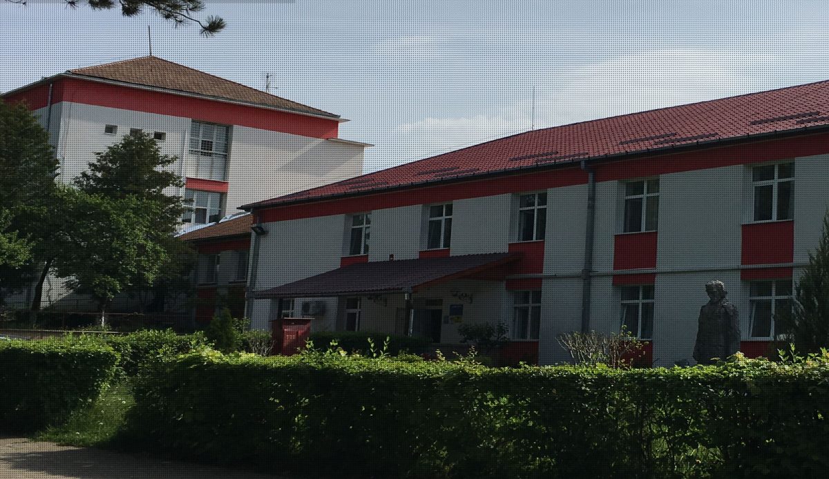 Cadru medical, înjunghiat de un pacient în curtea Spitalului de Psihiatrie din Bihor