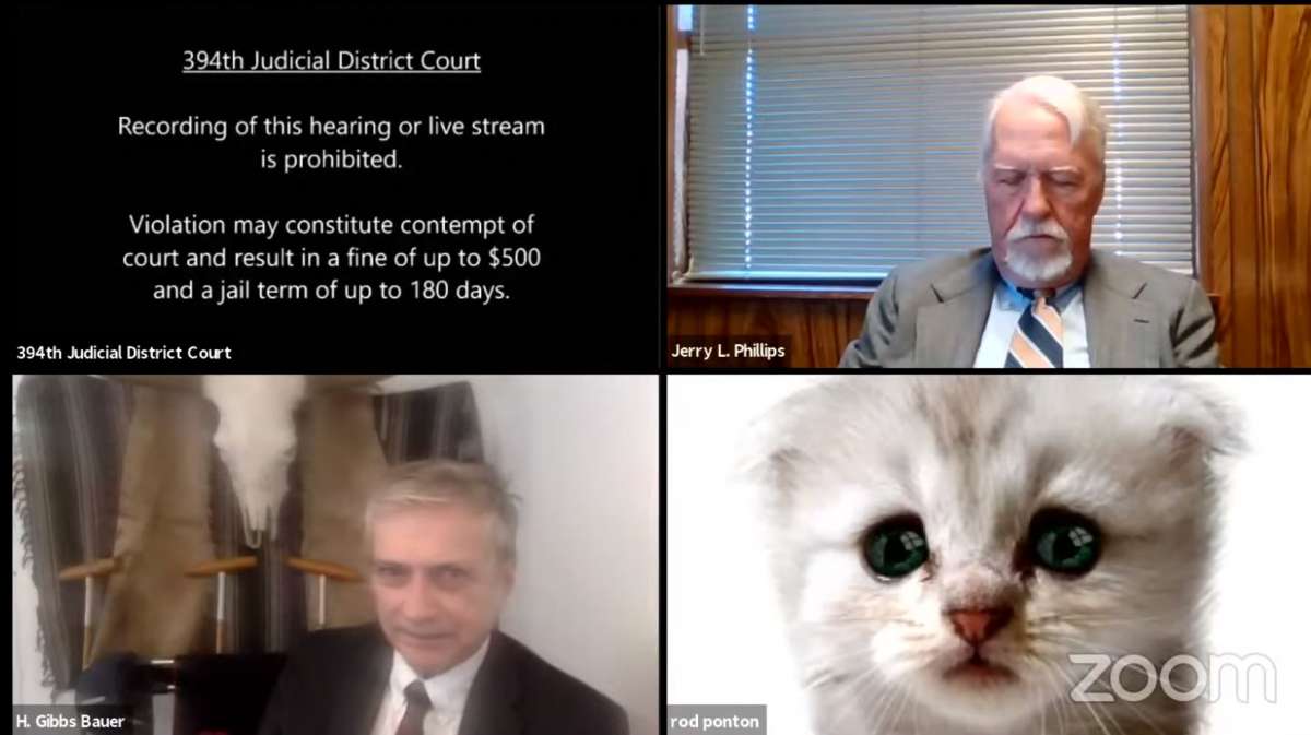 Un avocat din Texas a fost prins în timp ce folosea un filtru de pisică pe zoom, la o audiere: Domnule judecător, nu sunt o pisică – VIDEO