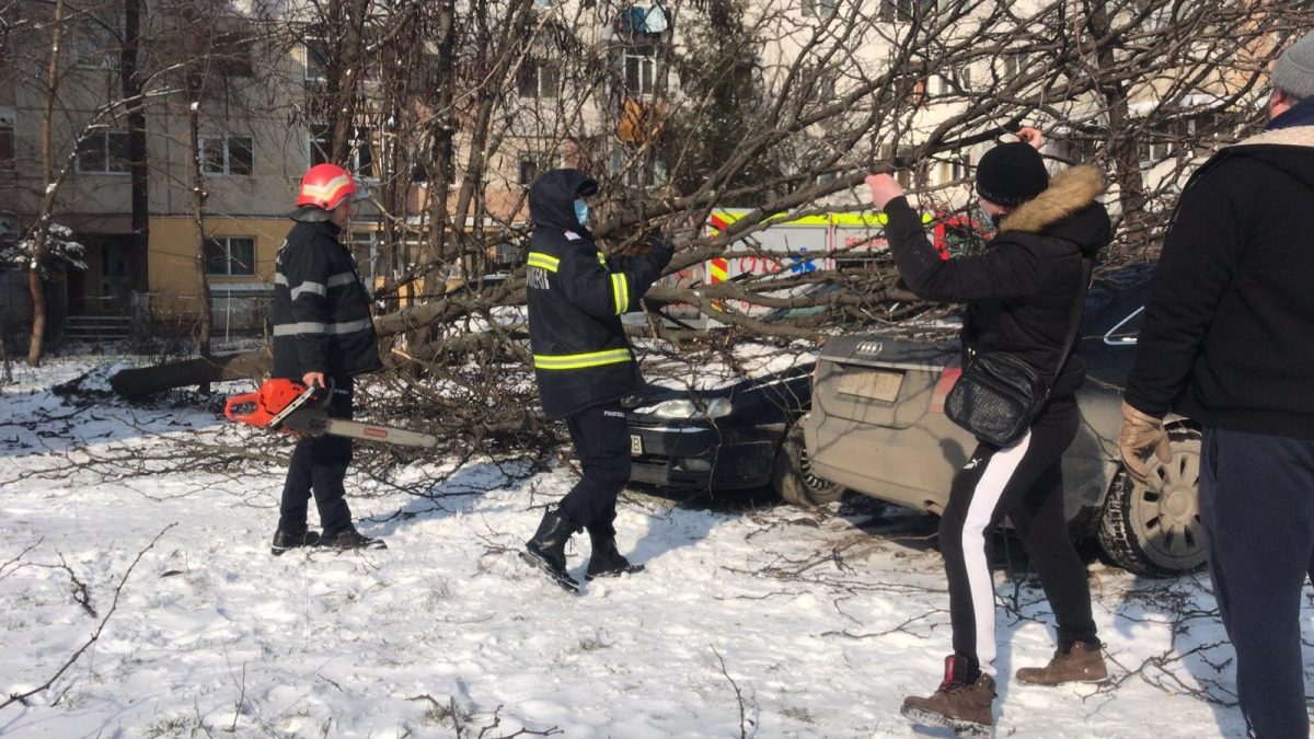 Vremea rea face ravagii în Iași! Un copac a căzut peste o maşină – FOTO