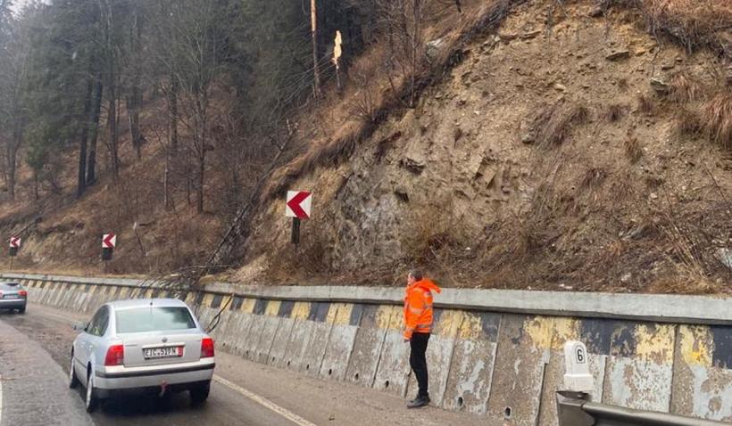 Accident rutier mortal în Suceava. O femeie a decedat după ce un copac a căzut peste maşina ce rula