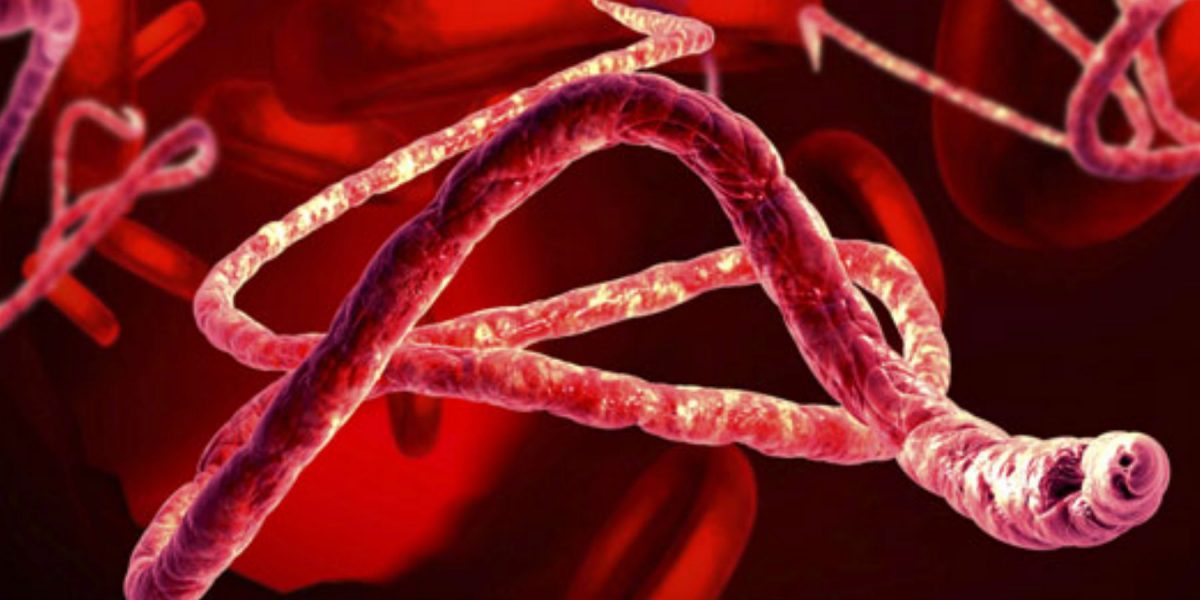 Ebola revine în actualitate. Patru persoane au murit din cauza virusului ucigaș
