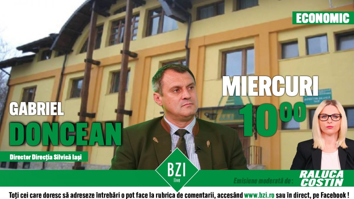 Totul despre SUMAL 2.0, sistemul care ar trebui să împiedice furturile din pădurile din România, numai la BZI LIVE! Discuție cu Gabriel Doncean, directorul Direcției Silvice Iași!