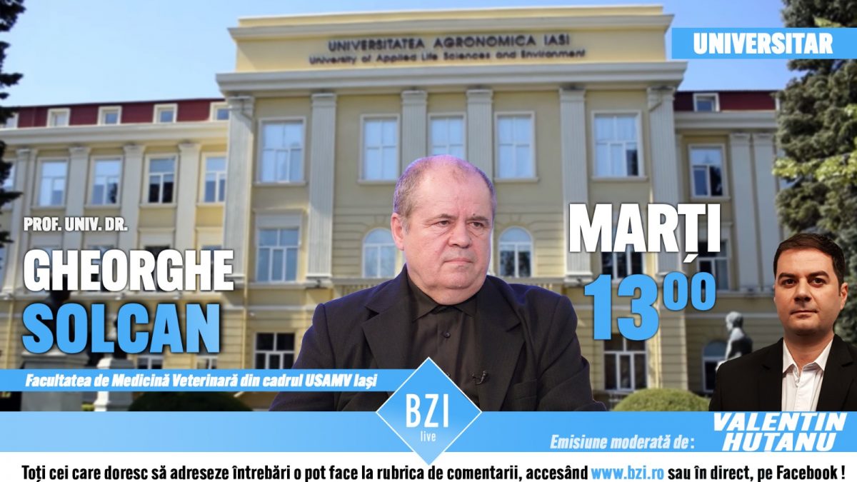 Unul dintre cei mai apreciați universitari şi medici veterinari din România, invitat special în Platoul BZI LIVE! Despre cazurile avute în ultimele luni, proiecte şi iniţiative academice, ştiinţifice alături de prof. univ. dr. Gheorghe Solcan, Facultatea de Medicină Veterinară din cadrul USAMV Iaşi