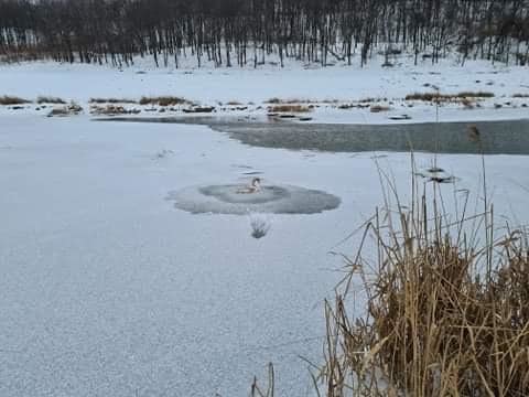 Trei persoane au ramas blocate pe un lac din comuna Sipote. Pompierii intervin de urgenta – Update