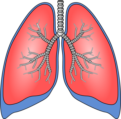 Remedii pentru infecţii respiratorii. Trei ingrediente fac minuni