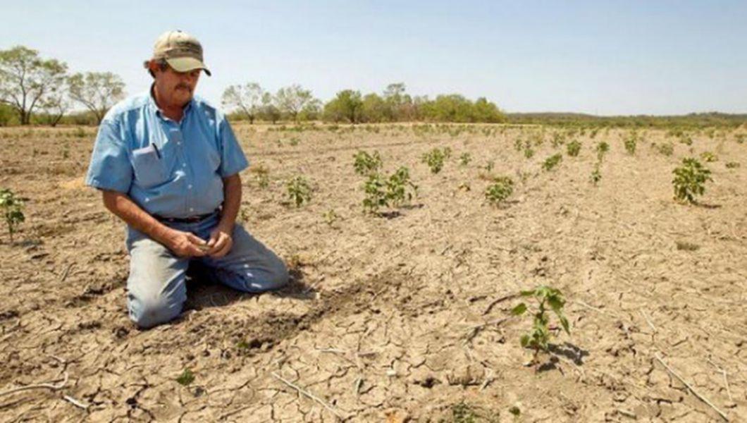 Congresul anual al Asociaţiei Cultivatorilor de Cereale şi Plante Tehnice din judeţul Iaşi