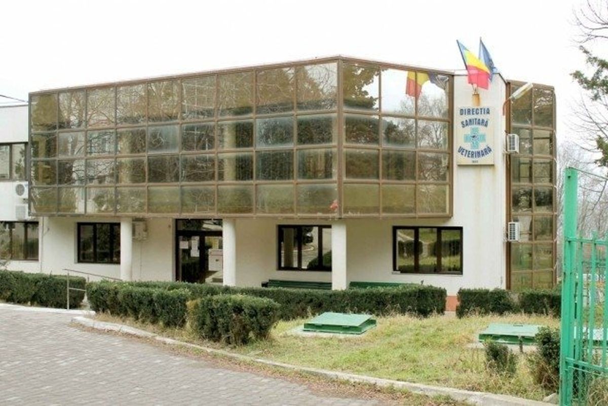 DSVSA Iași cumpără echipamente și instrumentar în valoare de 80.000 de euro, fonduri europene. Plățile către instituție încep din această primăvară