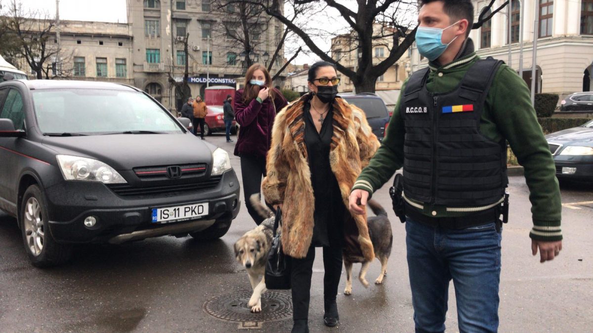 Iată ce spun procurorii în cazul descinderilor de la Opera Națională Română din Iași. Prejudiciul este de 5 milioane lei – SURSE