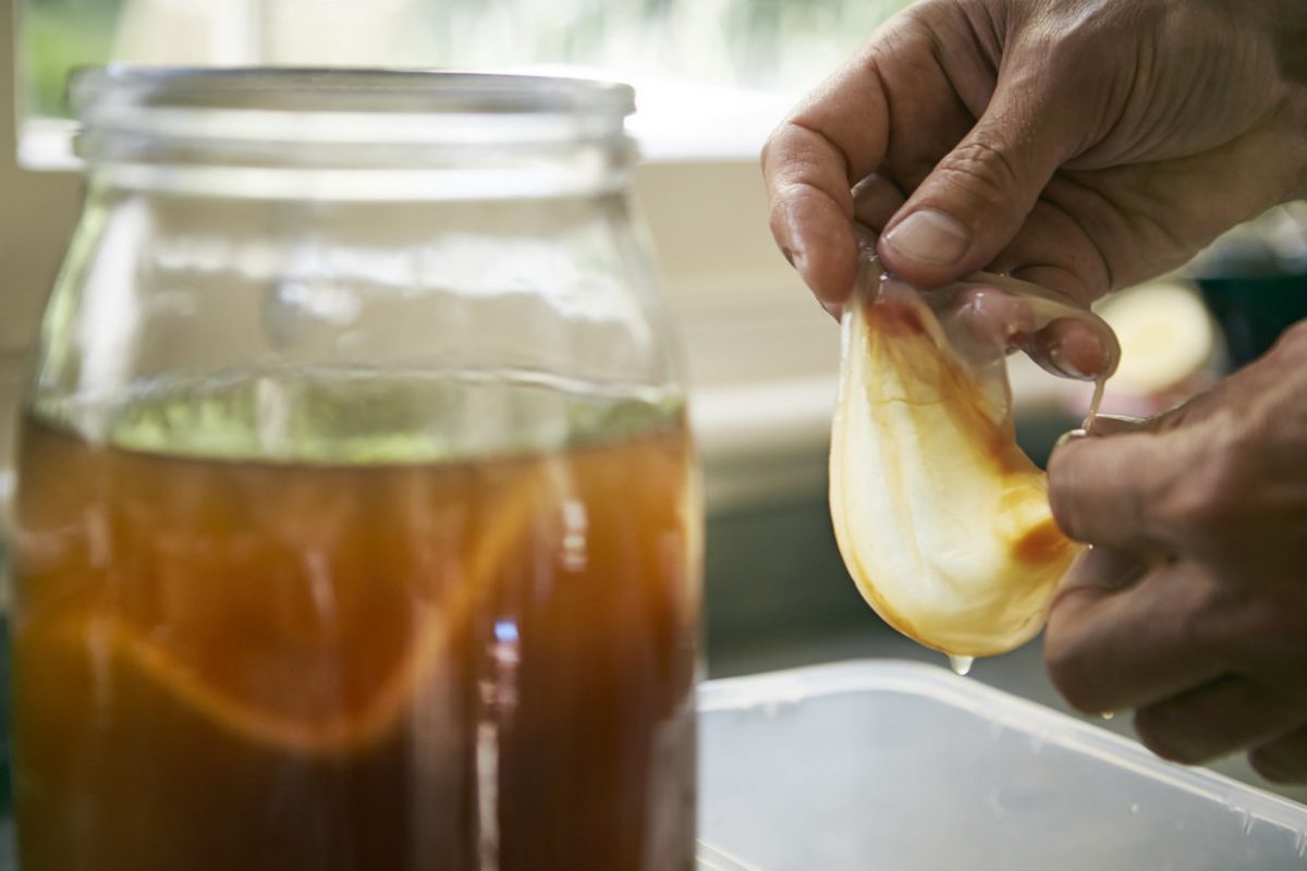 Kombucha ingrasa? In nici un caz! Iata ce beneficii miraculoase are!