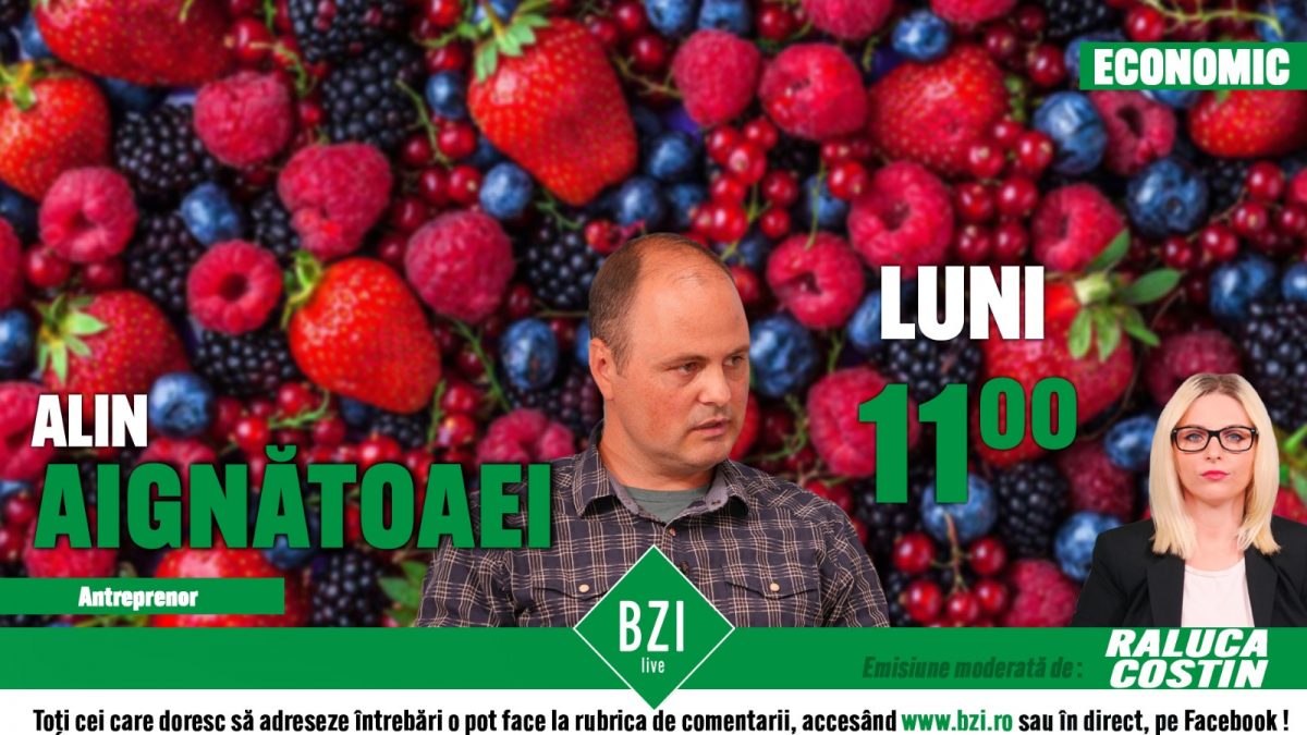 Când apar pe piața primele fructe românești, produse în Iași? Discuție cu Alin Aignătoaei, producător de fructe de pădure, numai la BZI LIVE!