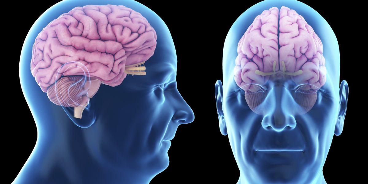 Alzheimer: stretching-ul și exercițiile fizice încetinesc declinul cognitiv
