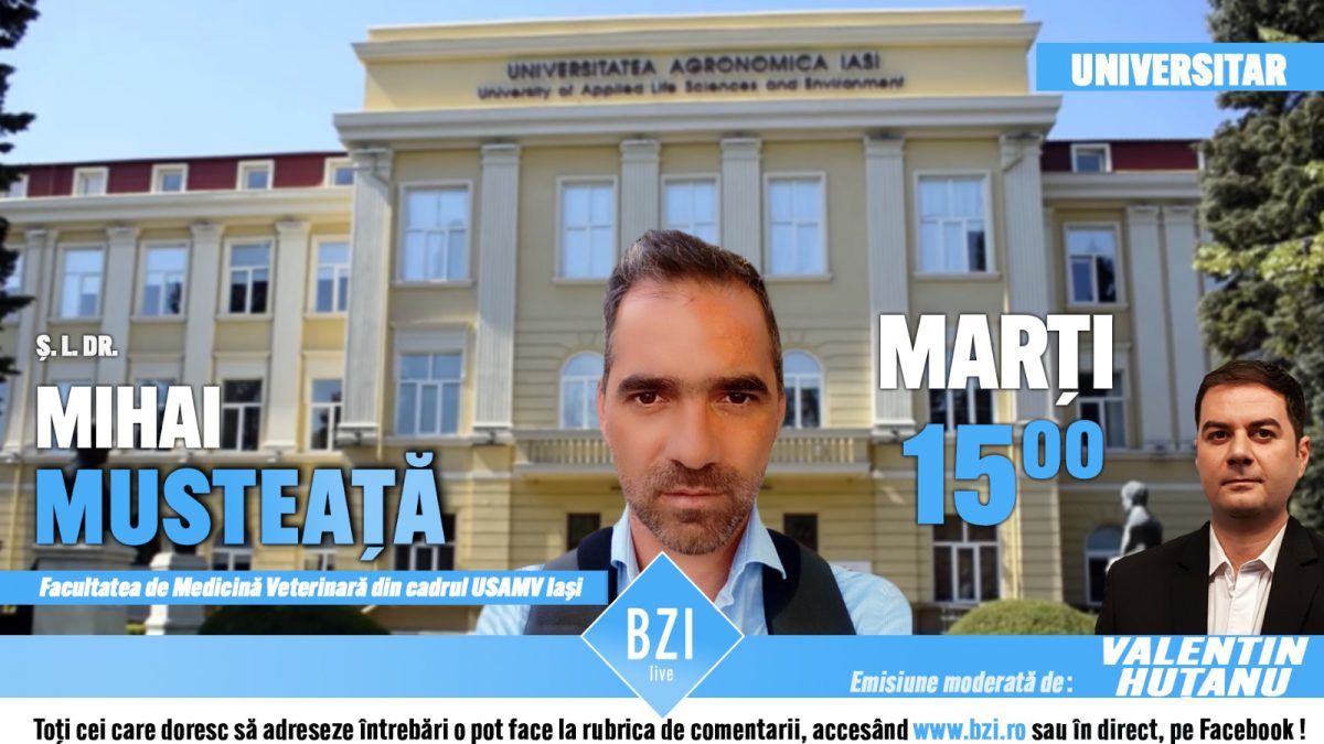 Despre un spital special din Iaşi, informaţii şi sfaturi utile pentru mulţi dintre noi alături de proiecte speciale, într-o ediţie BZI LIVE alături de şef. lucrări. dr. Mihai Musteaţa de la Facultatea de Medicină Veterinară din cadrul Universităţii de Ştiinţe Agricole şi Medicină Veterinară „Ion Ionescu de la Brad” Iaşi
