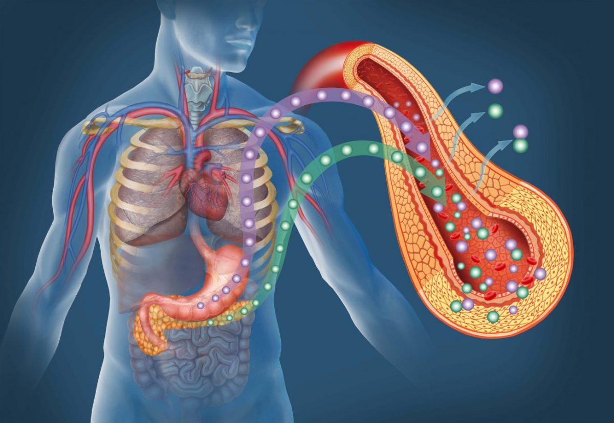 8 leacuri batranesti pentru ameliorarea durerii pancreatice
