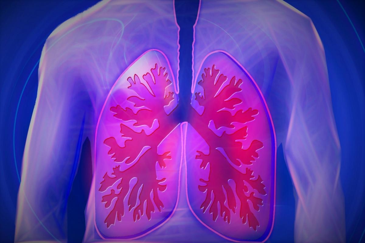Care sunt simptomele tuberculozei