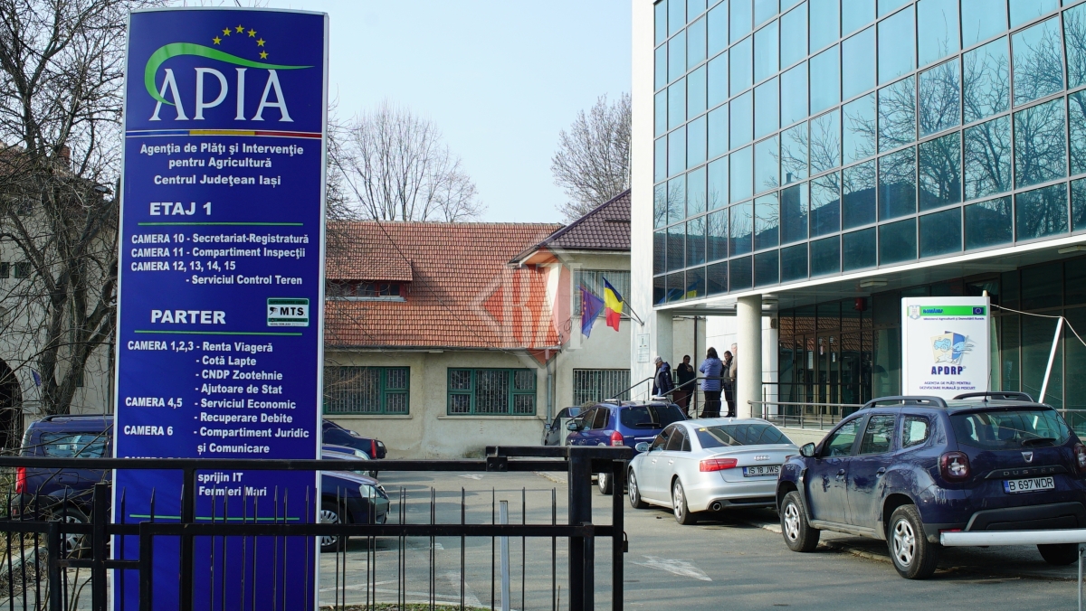 Crescătorii de bovine din Iași primesc ajutorul COVID-19 de la APIA. Banii intră în conturile beneficiarilor începând cu luna mai 2021, după finalizarea listelor de plată