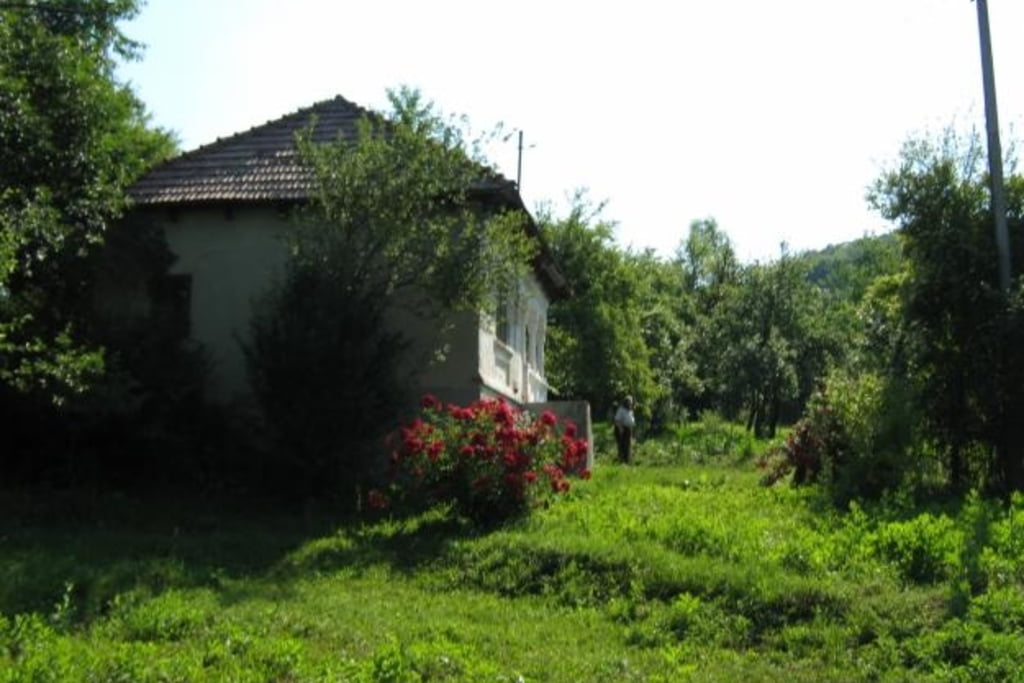 Un clujean întors din Italia s-a trezit că vecinii i-au furat gospodăria și au transformat-o în fermă