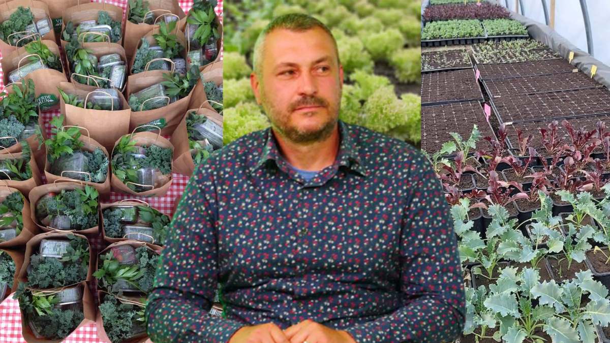 Un peisagist din Iași a investit, împreună cu soția, într-o afacere de succes cu legume ecologice. Familia Ivașcu vinde sute de coșuri cu legume proaspete câteva luni pe an. „E mai rentabil pentru noi să închidem serele iarna”