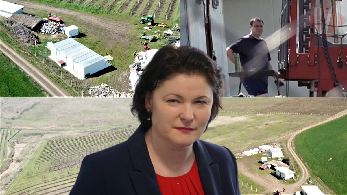 Imagini în premieră cu domeniul lui Carmen Cumpăt, managerul Spitalului de Recuperare! Peste 20 de hectare de teren, ascunse după dealurile din comuna Probota. A primit subvenții de la bugetul de stat, dar afacerea este pe pierderi – FOTO/VIDEO