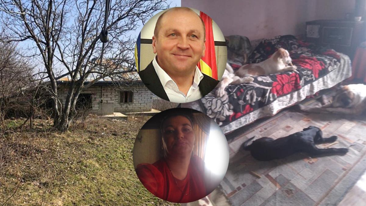 Femeia care trăiește alături de 55 de animale va primi o nouă casă, fără prea mulți vecini! Elena Surubariu va putea trăi liniștită lângă cei 36 de câini și 19 pisici