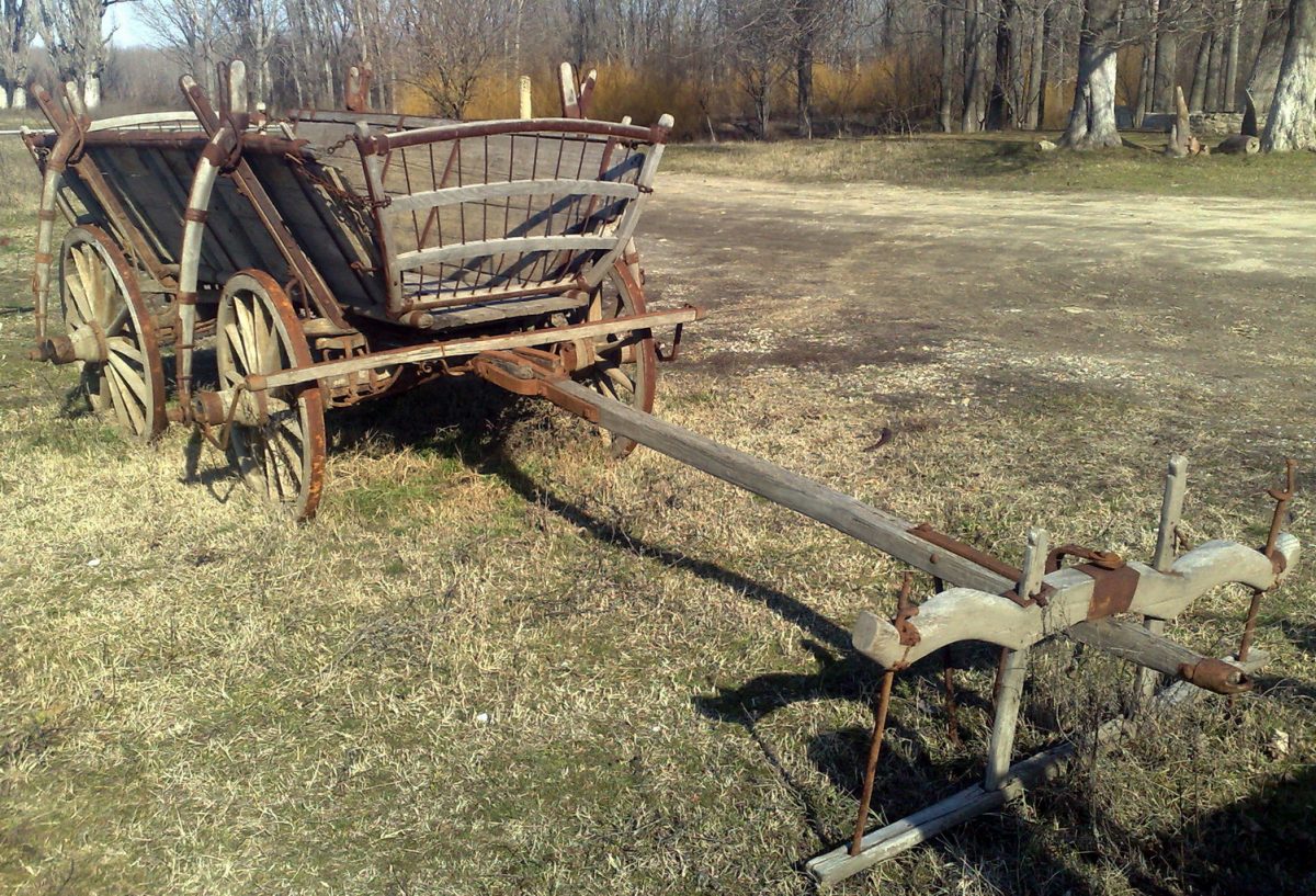 Ce înseamnă când îţi apare în vis o căruţă cu lemne? Semnificaţie