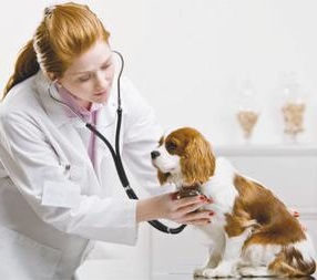Farmacii non-stop în Iași. Unde trebuie să apelezi în caz de urgență