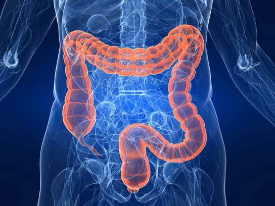 Ceaiuri bune pentru colon. Cum faci detoxifiere corectă