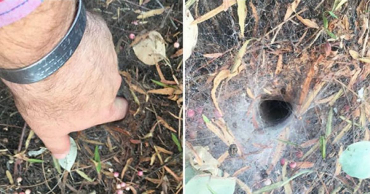 A riscat o înțepătură de păianjen după ce a băgat degetul într-o gaură în pământ