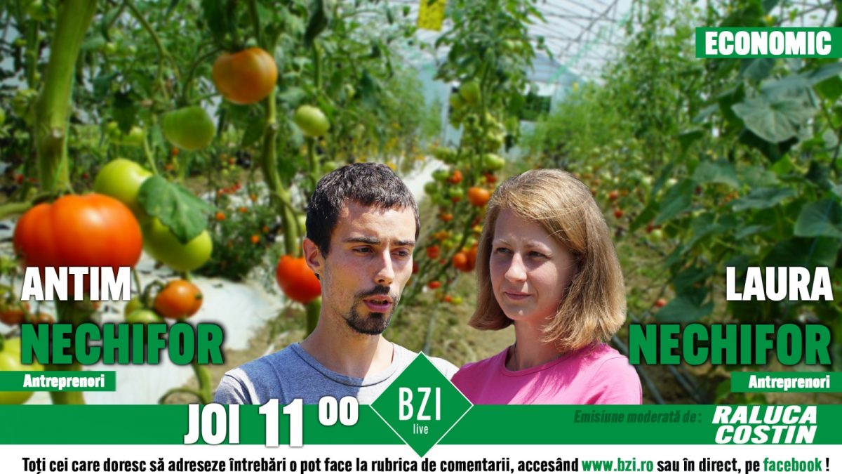 Vom mânca legume ecologice mai scumpe în acest an? Aflați de la Antim și Laura Nechifor ce activități au în sere producătorii ecologici în această perioadă, numai la BZI LIVE!