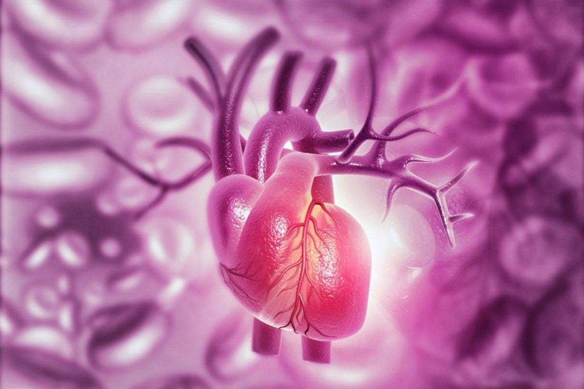 Un medic explică pe înţelesul tuturor ce este miocardita. Cum este inima celor infectaţi cu Covid-19