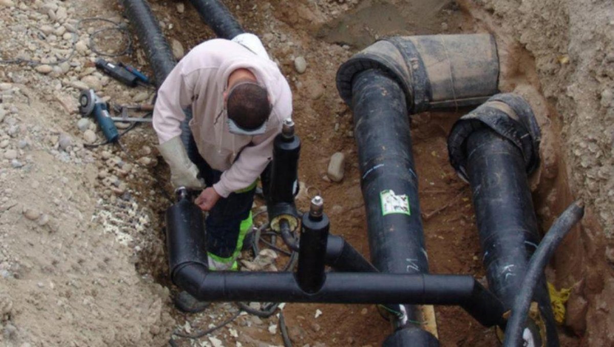 Patronii firmei de construcții Casrep, țeapă la bugetul de stat! Într-un an, au încasat peste 10 milioane de euro. Sunt obligați să returneze banii