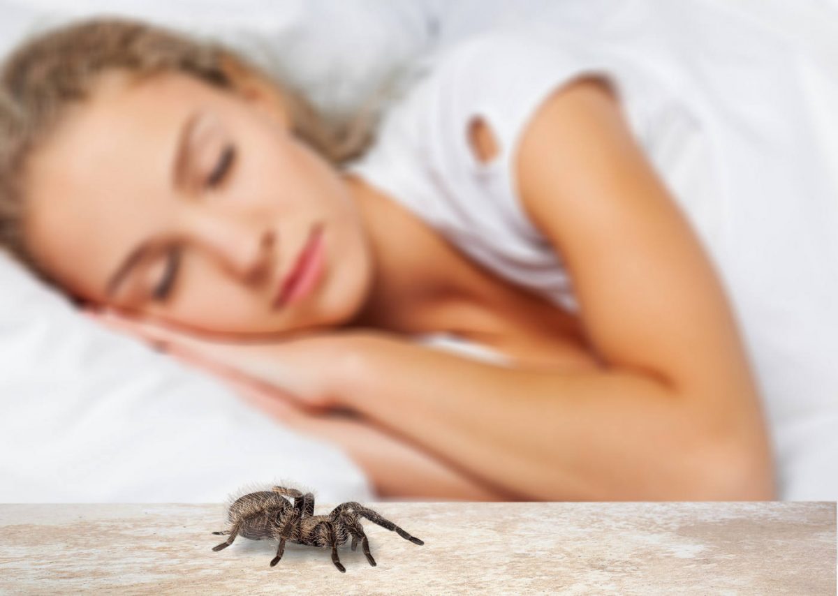 Mușcătura sau înțepătura de păianjen trebuie tratată cu maximă atenție. Cum ne dăm seama de la ce insectă provine