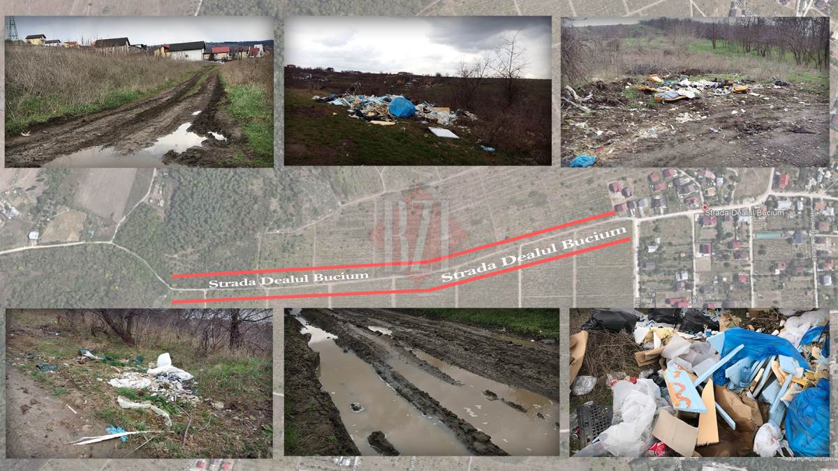 Dezastru ecologic într-o zonă de lux a Iașului. O stradă s-a transformat într-o adevărată groapă de gunoi. Drumul ar putea prelua tot traficul din cel mai aglomerat cartier al orașului – GALERIE FOTO