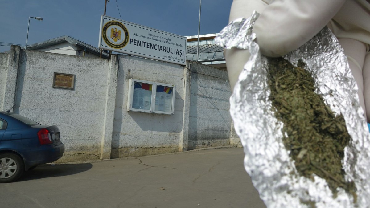 Cum se introduc drogurile în Penitenciarul Iași? Iată metoda la care a apelat o domnișoară pentru a-i satisface poftele iubitului său, aflat la „durere”! Credea că nu va fi căutată chiar acolo! (Exclusiv)