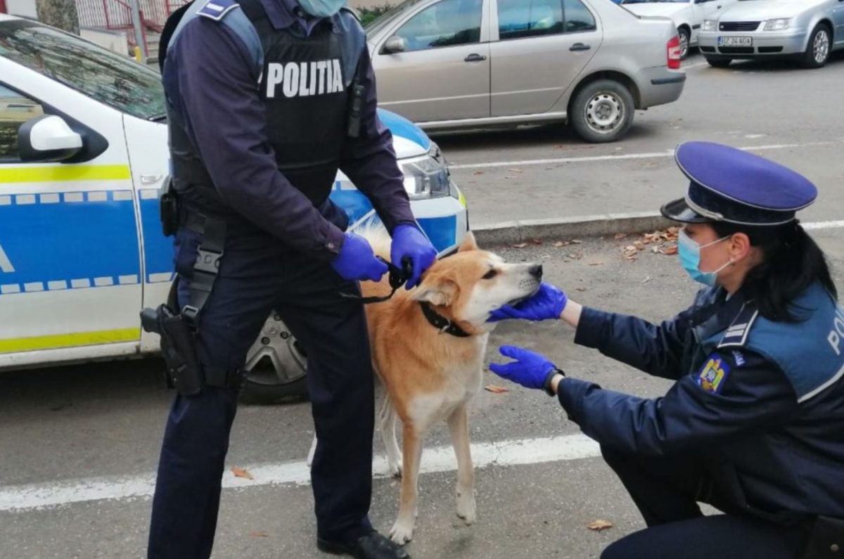 Ce salarii au angajații de la Poliția Animalelor cu tot cu bonusuri și sporuri