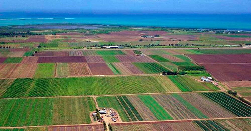 Instruirea personalului pentru Recensământul General Agricol va avea loc în perioada 12 – 23 aprilie, la Iași
