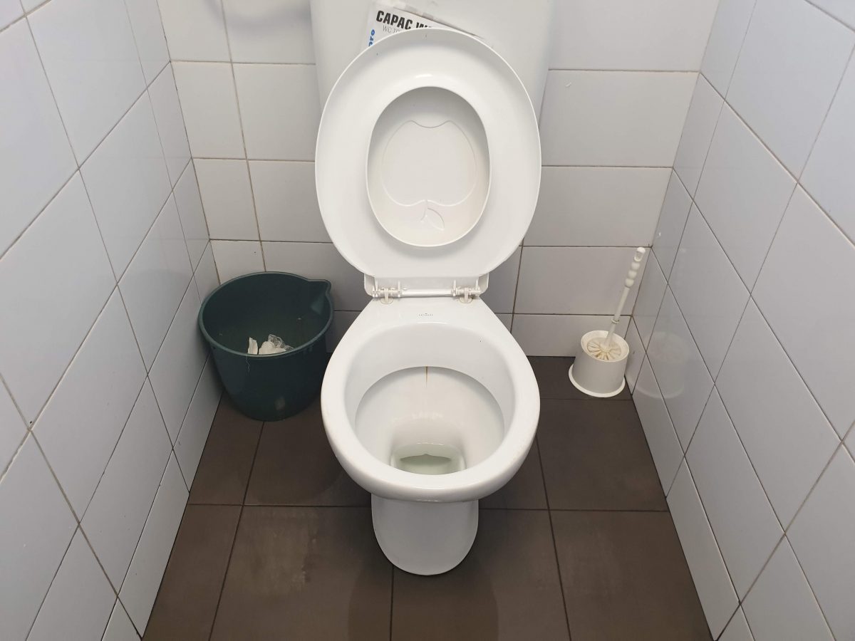 Covid-19: de ce ar trebui să evităm toaletele publice